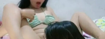 Jengger Manis Lesbong Jilmek